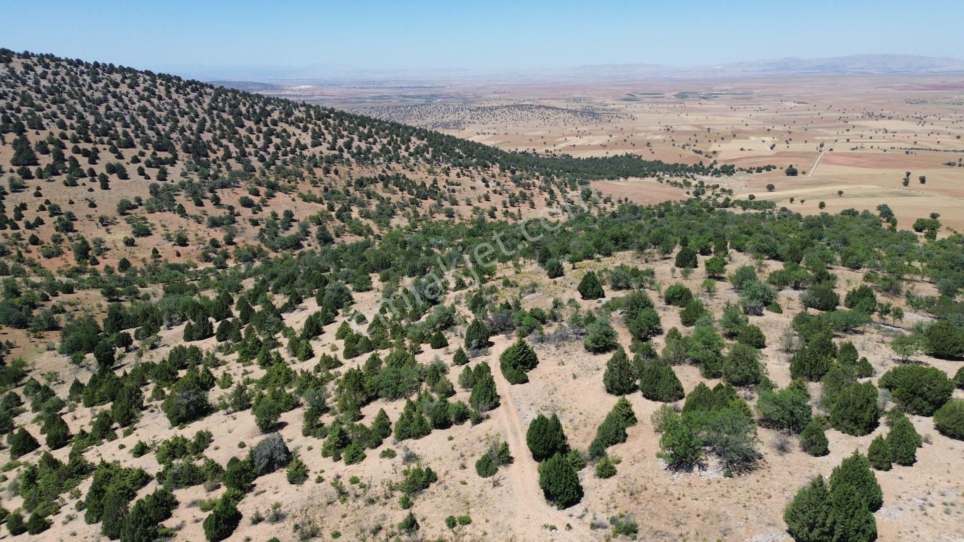 Konya / Akören / Alan Mahallesinde 2.755 M² Müstakil Tapulu Tarla - Görsel 2