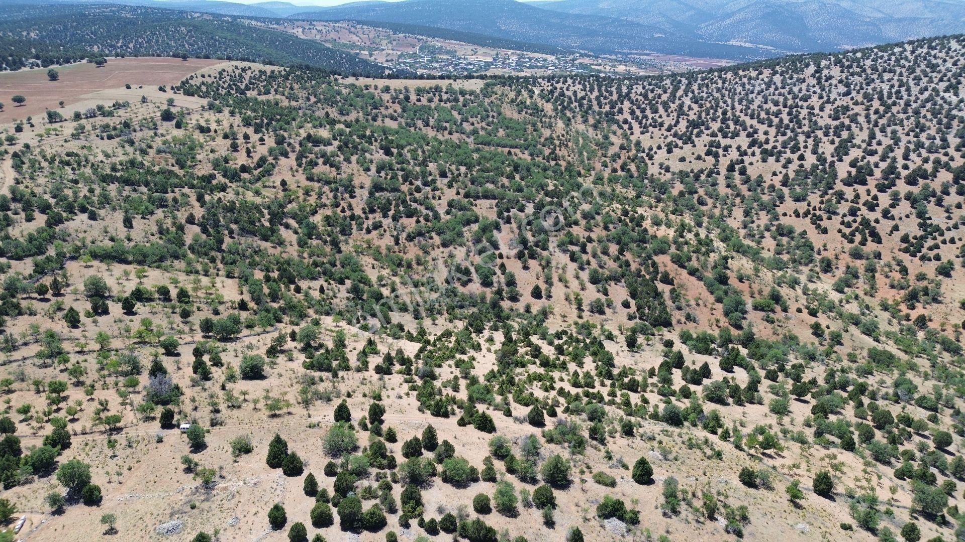 Konya / Akören / Alan Mahallesinde 2.755 M² Müstakil Tapulu Tarla - Görsel 3