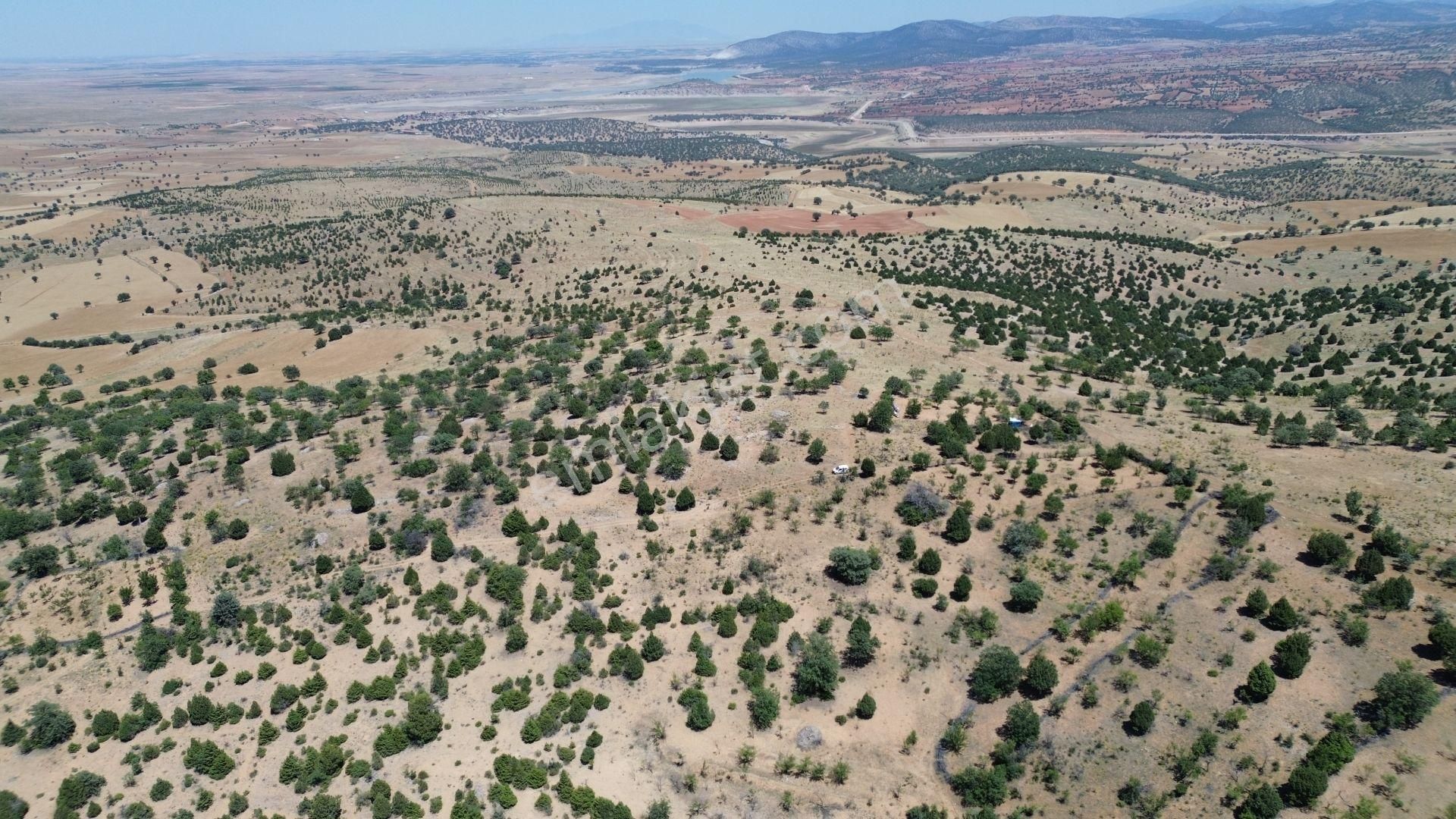 Konya / Akören / Alan Mahallesinde 2.755 M² Müstakil Tapulu Tarla - Görsel 7