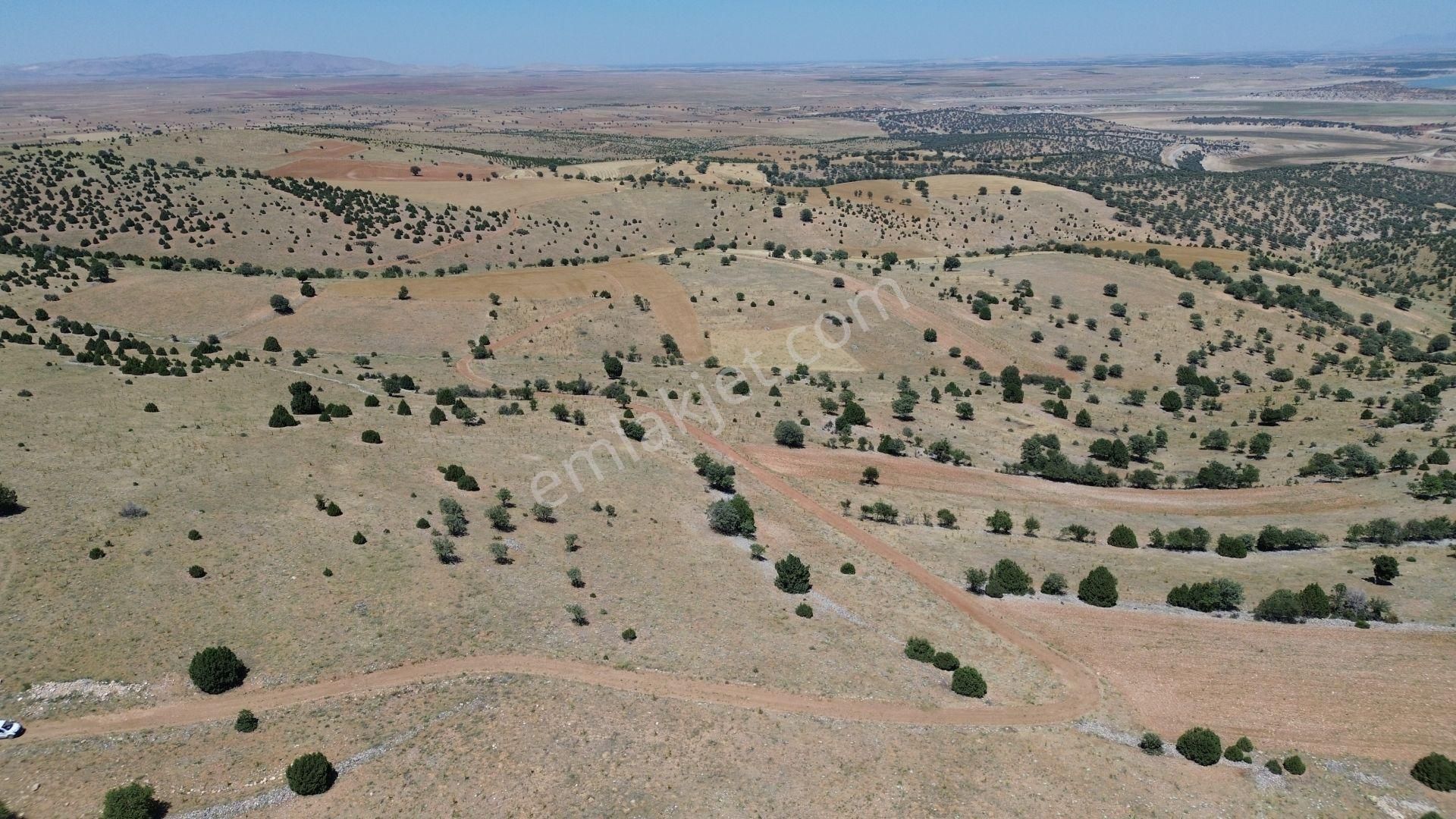 Konya / Akören / Belkuyu Mahallesinde 4.085 M² Müstakil Tapulu Tarla - Görsel 2