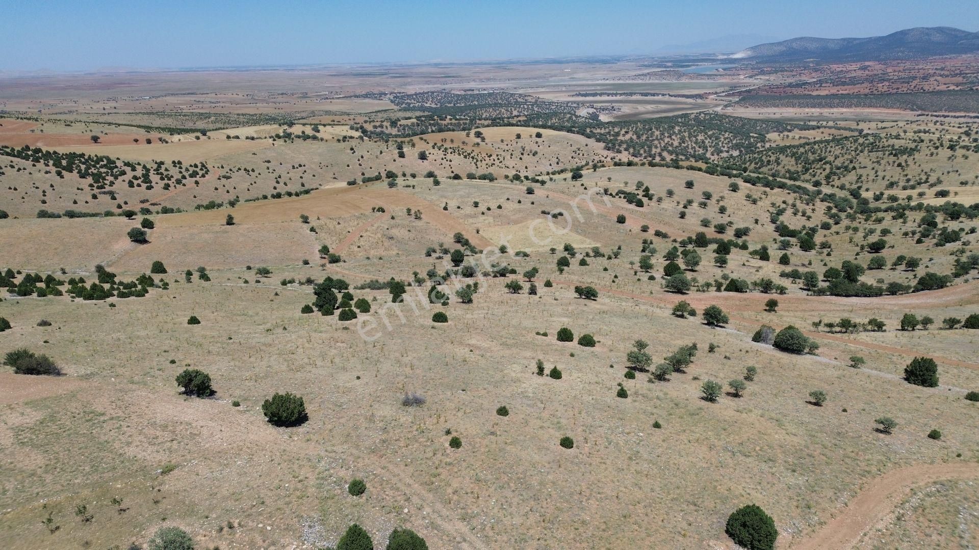 Konya / Akören / Belkuyu Mahallesinde 4.085 M² Müstakil Tapulu Tarla - Görsel 3