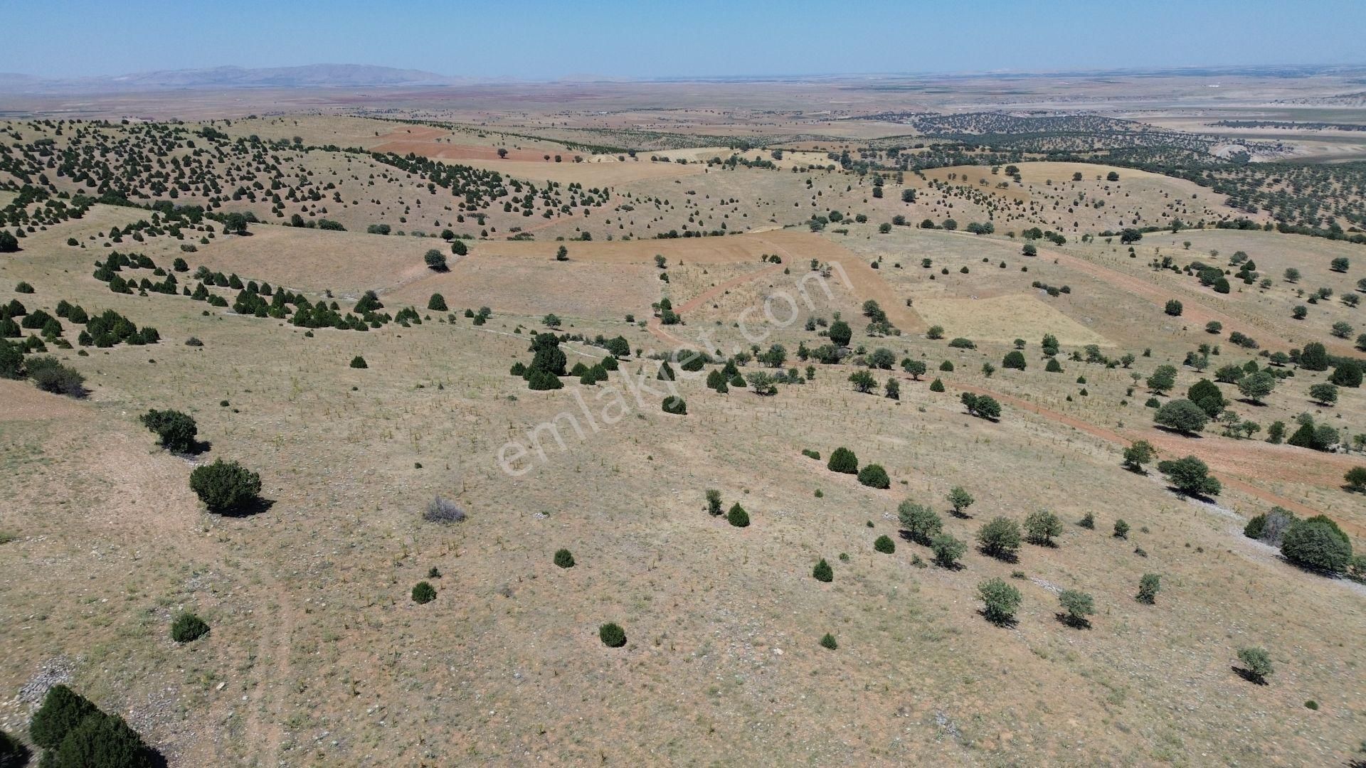 Konya / Akören / Belkuyu Mahallesinde 4.085 M² Müstakil Tapulu Tarla - Görsel 5