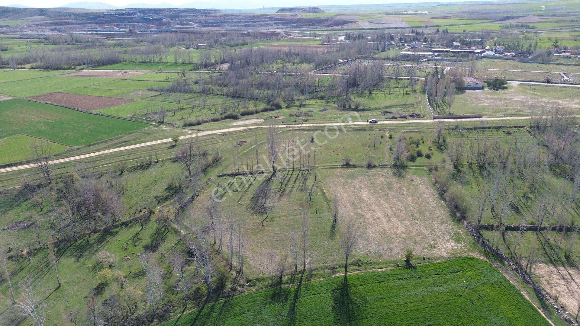 Konya / Ilgın / Çavuşcu Mahallesinde 460 M² Müstakil Tapulu Konut İmarlı Arsa - Görsel 10