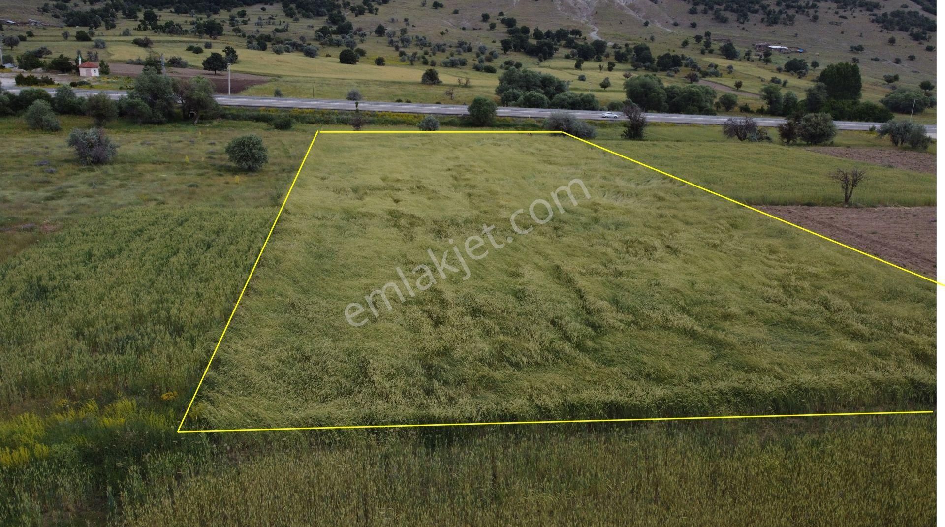 Konya / Meram / İnlice'de 5.606 M² Müstakil Tapulu Tarla - Görsel 6