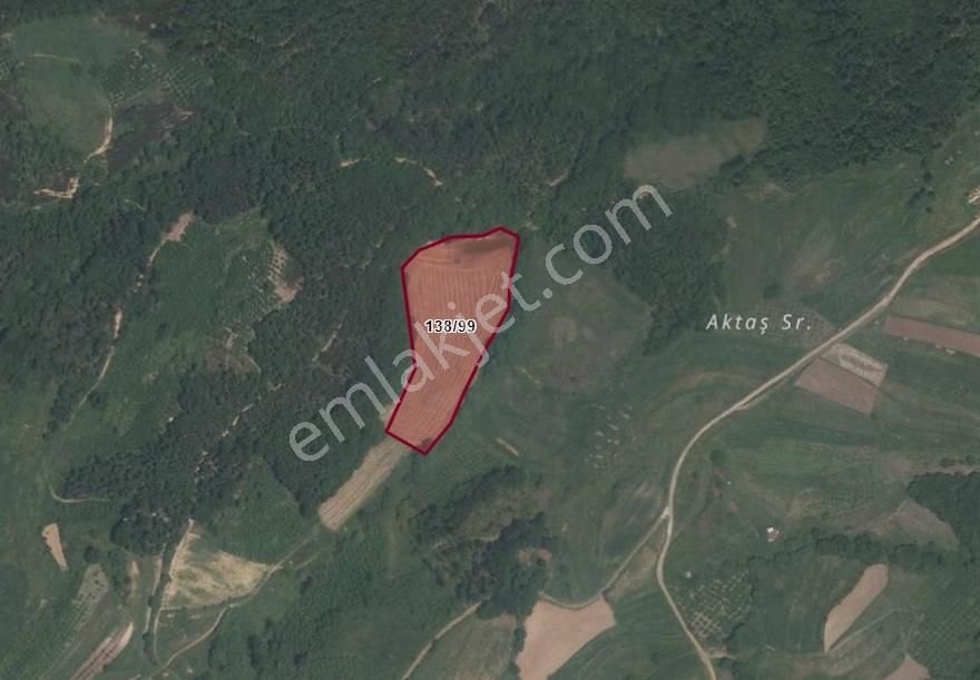 Tarcanlardan Kandırada Kupon Tarla