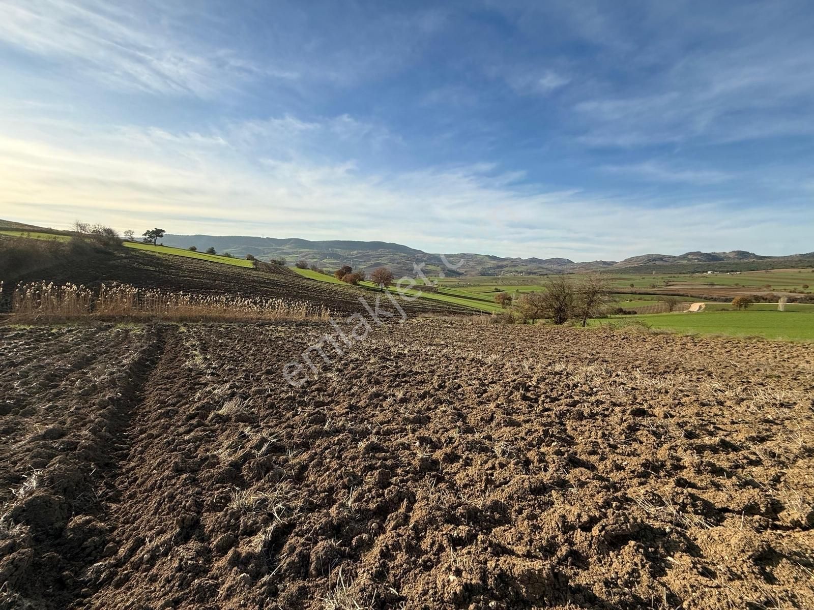 Yenişehir Kızılköy'de Tarımsal Kullanıma Uygun 2763 M2 Tarla - Görsel 29