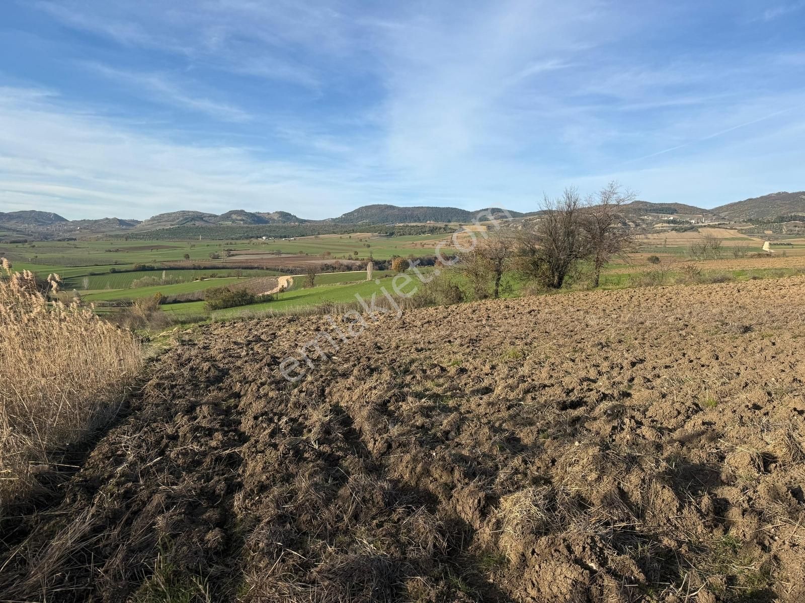 Yenişehir Kızılköy'de Tarımsal Kullanıma Uygun 2763 M2 Tarla - Görsel 30