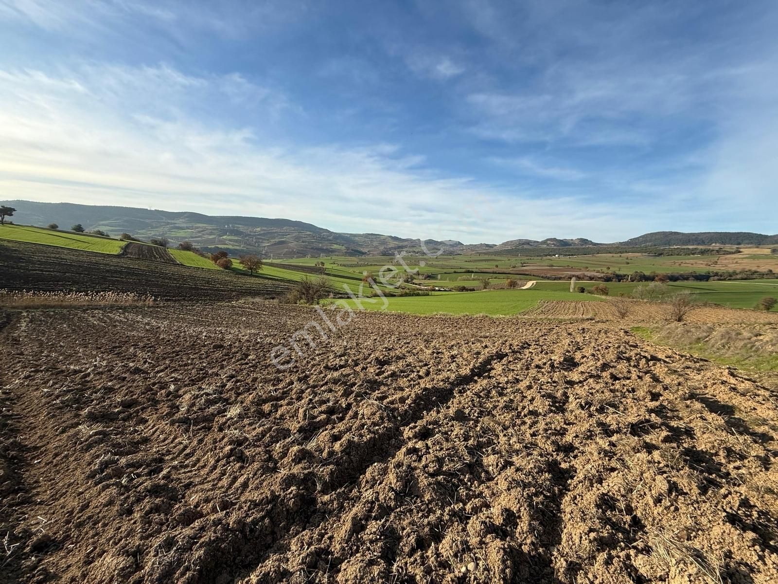 Yenişehir Kızılköy'de Tarımsal Kullanıma Uygun 2763 M2 Tarla - Görsel 23