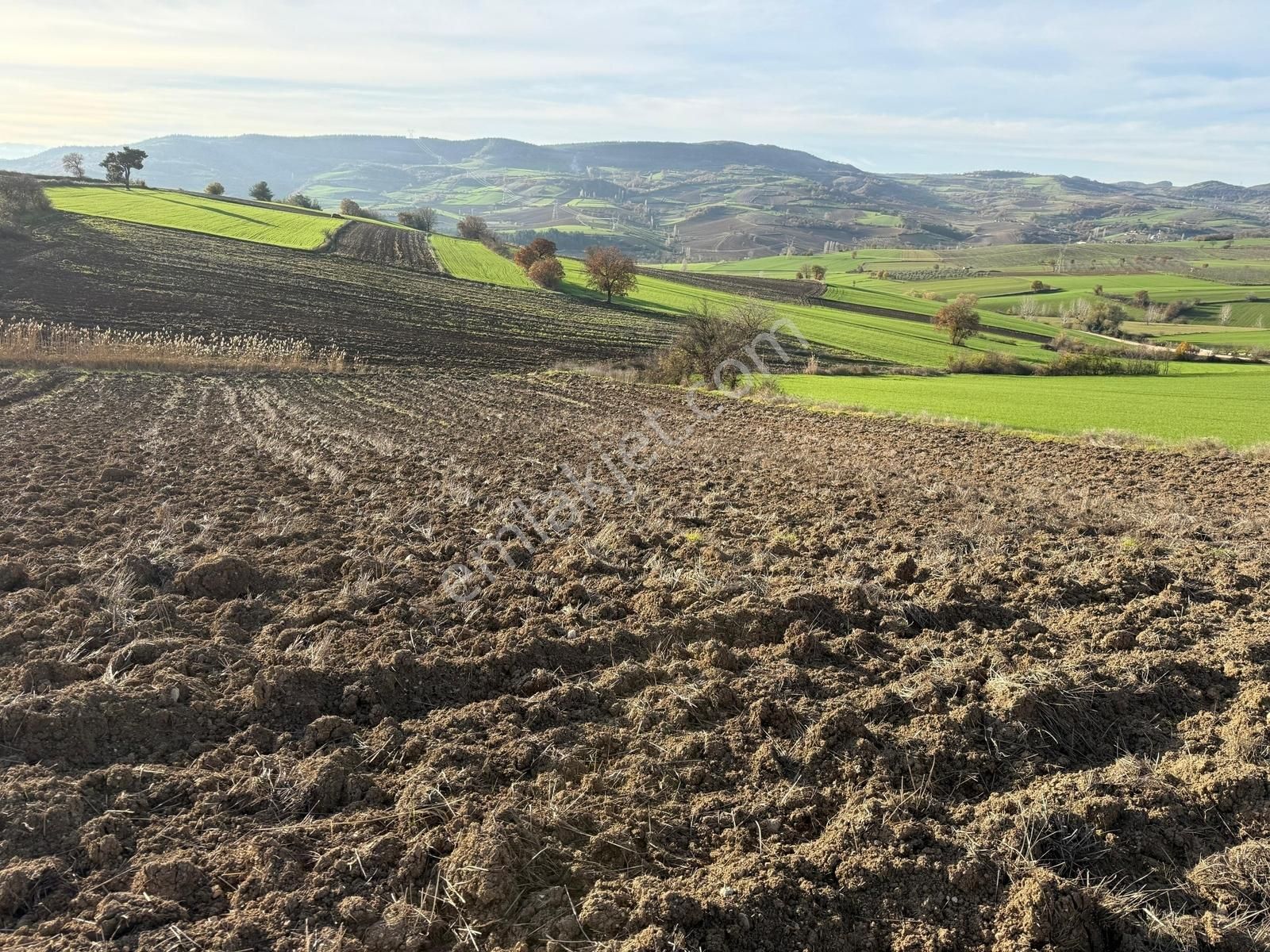 Yenişehir Kızılköy'de Tarımsal Kullanıma Uygun 2763 M2 Tarla - Görsel 24