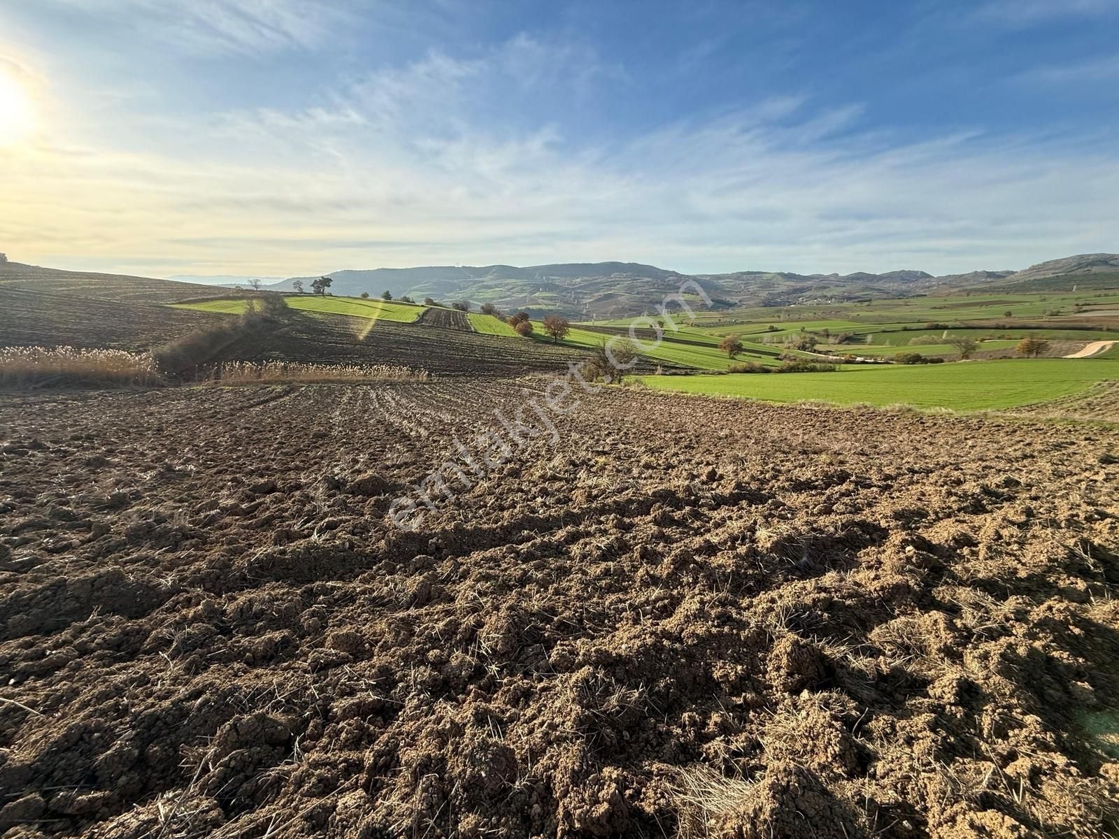 Yenişehir Kızılköy'de Tarımsal Kullanıma Uygun 2763 M2 Tarla - Görsel 19