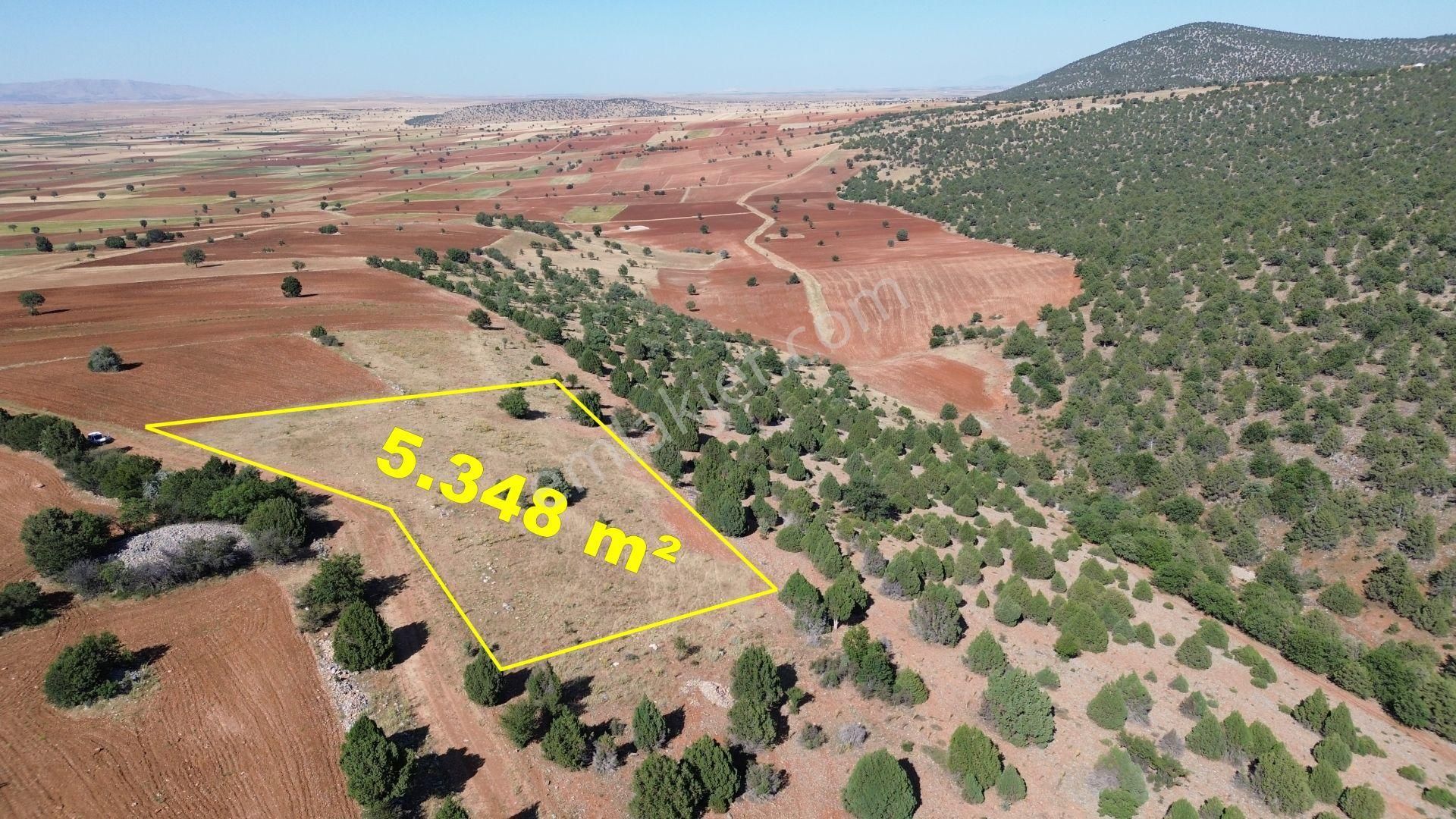 Akören Alanda 5.348 M² Orman İçersinde Müstakil Tapulu Tarla - Görsel 10