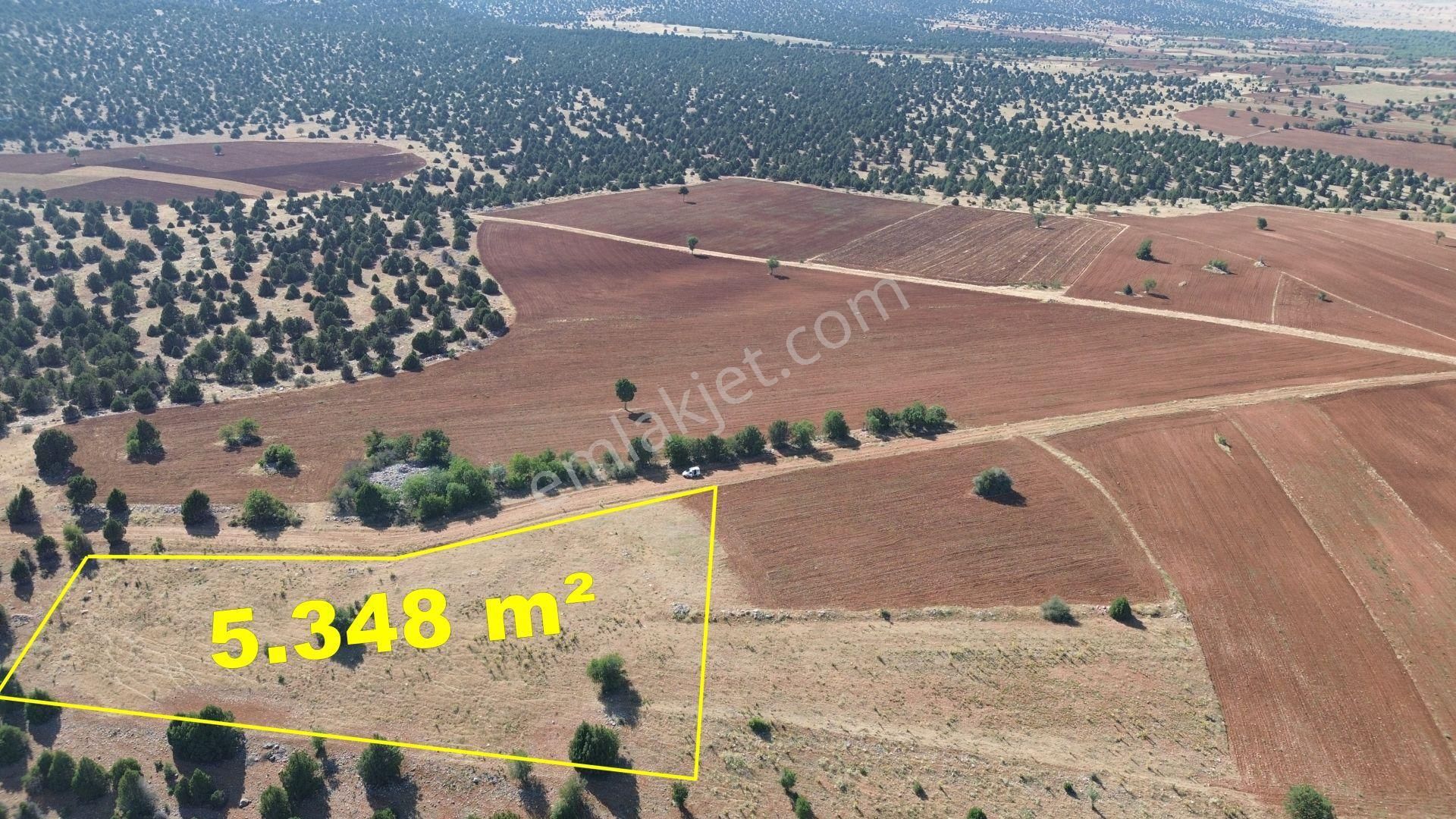 Akören Alanda 5.348 M² Orman İçersinde Müstakil Tapulu Tarla - Görsel 8