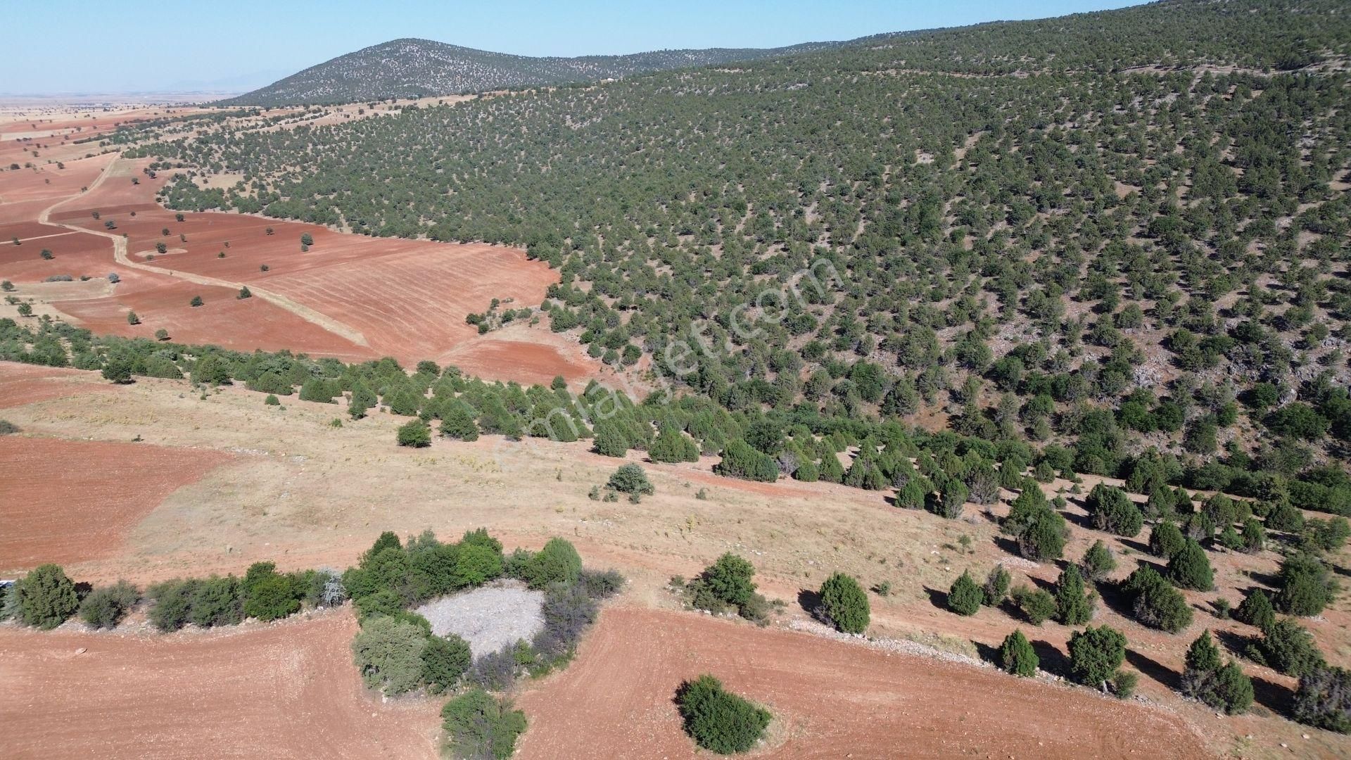 Akören Alanda 5.348 M² Orman İçersinde Müstakil Tapulu Tarla - Görsel 2