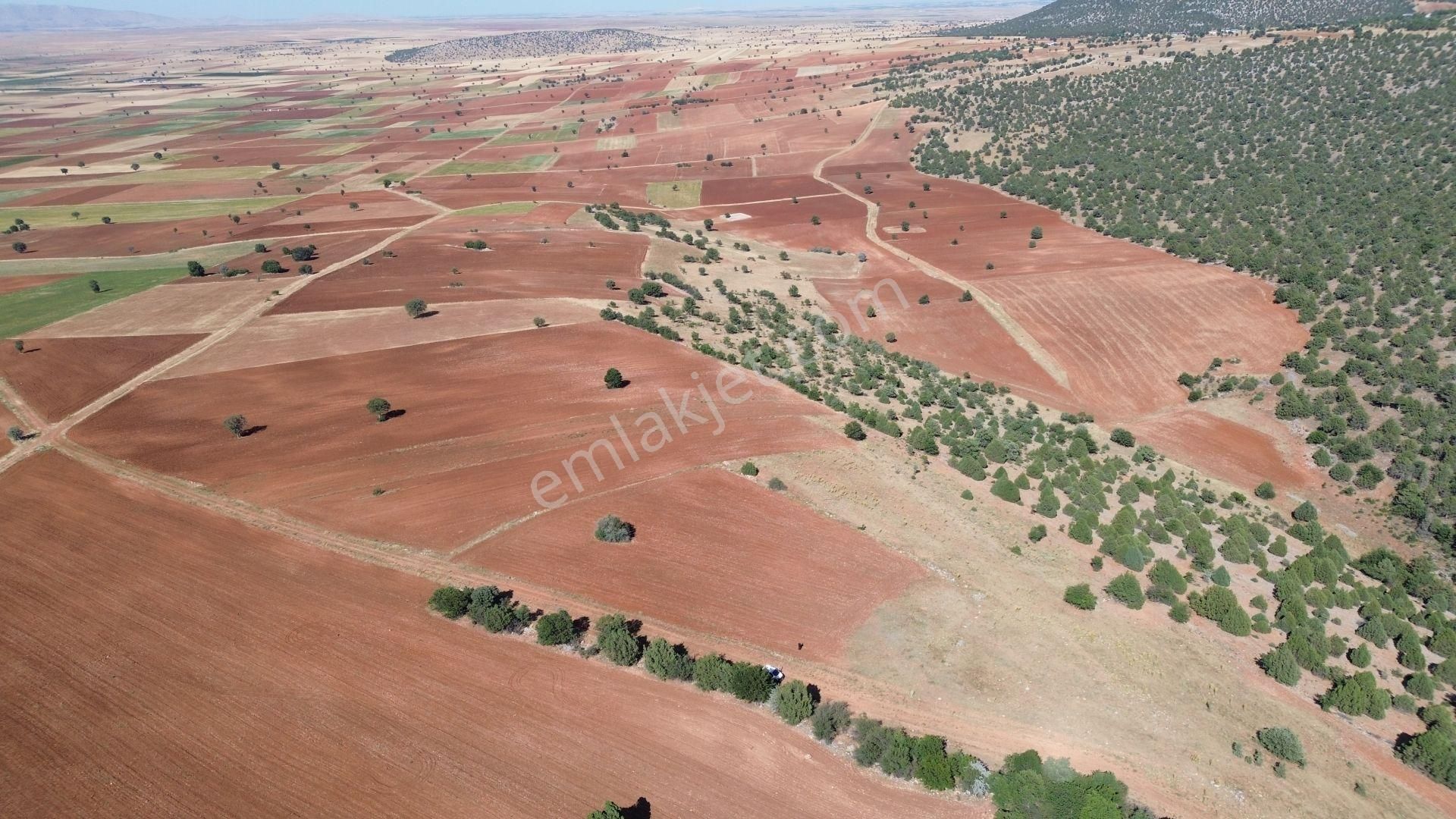 Akören Alanda 5.348 M² Orman İçersinde Müstakil Tapulu Tarla - Görsel 3