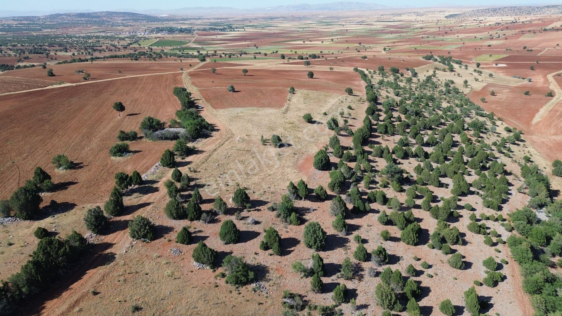 Akören Alanda 5.348 M² Orman İçersinde Müstakil Tapulu Tarla - Görsel 4