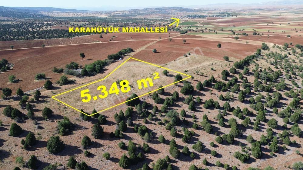 Akören Alanda 5.348 M² Orman İçersinde Müstakil Tapulu Tarla - Görsel 5