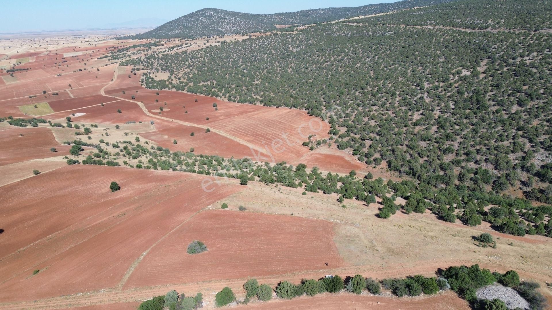 Akören Alanda 5.348 M² Orman İçersinde Müstakil Tapulu Tarla - Görsel 7