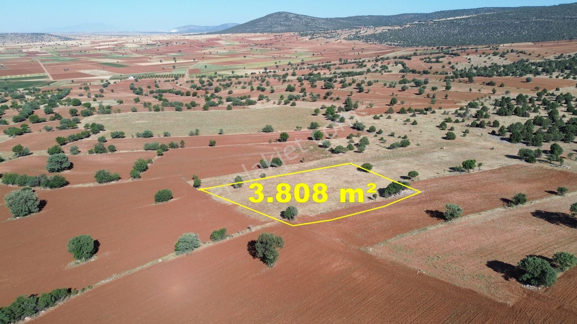Akören / Karahüyük De Doğa Güzelliğinin Ortasında 3.808 M² Tarla - Görsel 4