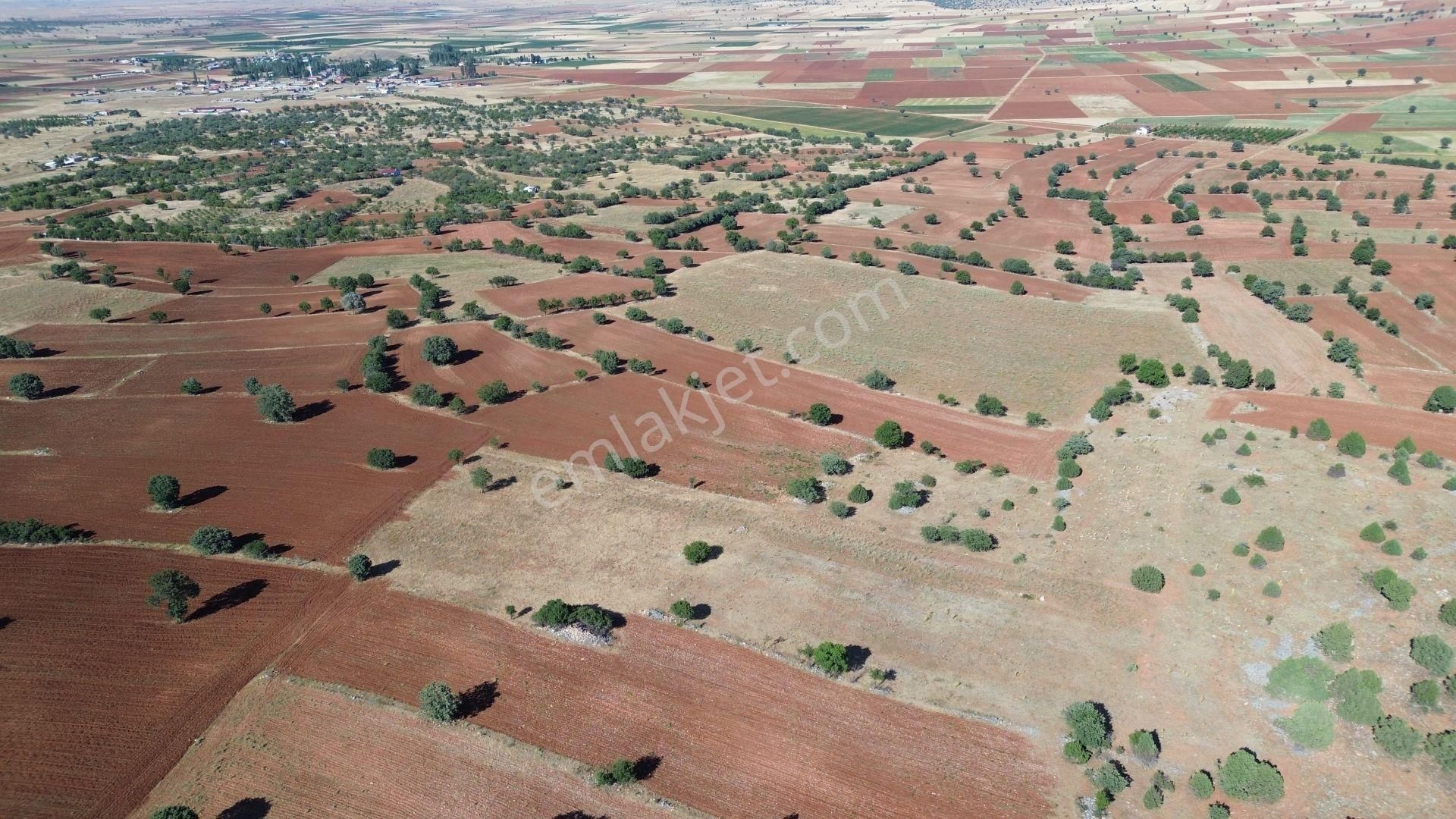 Akören / Karahüyük De Doğa Güzelliğinin Ortasında 3.808 M² Tarla - Görsel 7