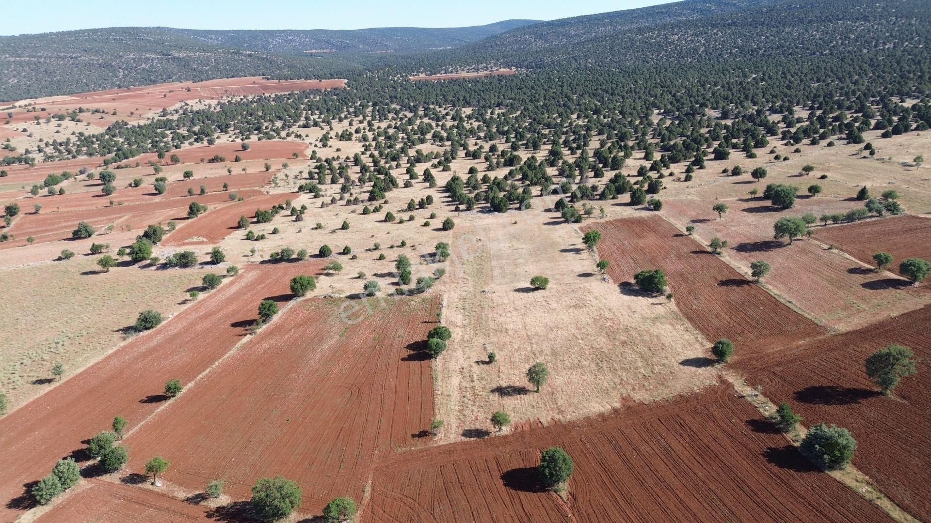 Akören / Karahüyük De Doğa Güzelliğinin Ortasında 3.808 M² Tarla - Görsel 3