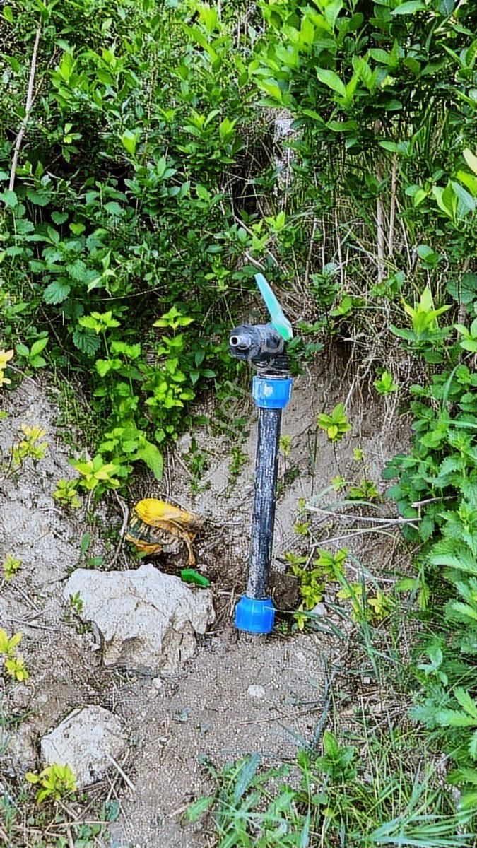 Hakan Karakuş Gayrimenkul Den Başarakavak Mah.de Müstakil Bahçe. - Görsel 12