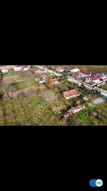 Sakarya Akyazıda Salihiye Köyünde Satılık Ev Meyve Ağaçlı Taşduvarlı 14 Dönüm Fındık Meyve Bahçesi