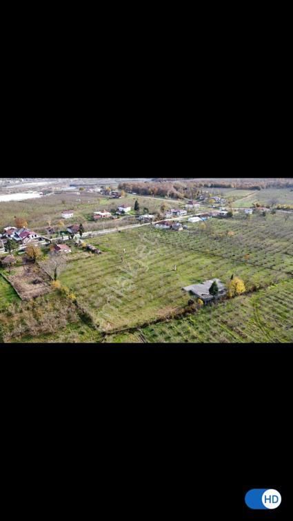 Sakarya Akyazıda Salihiye Köyünde Satılık Ev Meyve Ağaçlı Taşduvarlı 14 Dönüm Fındık Meyve Bahçesi - Görsel 2