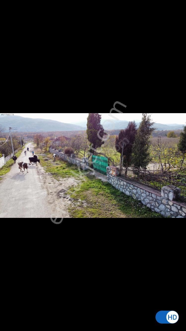 Sakarya Akyazıda Salihiye Köyünde Satılık Ev Meyve Ağaçlı Taşduvarlı 14 Dönüm Fındık Meyve Bahçesi - Görsel 6