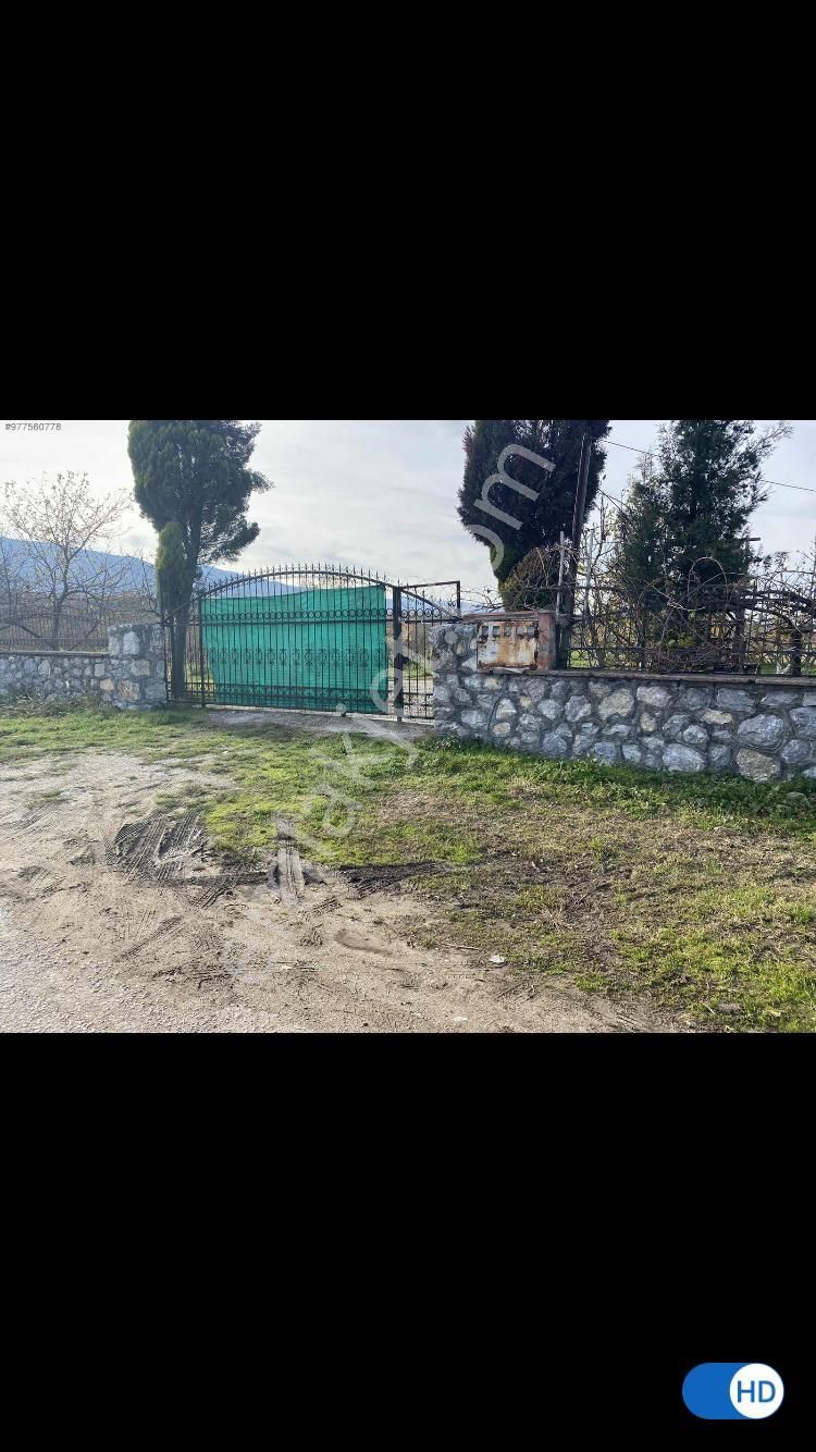 Sakarya Akyazıda Salihiye Köyünde Satılık Ev Meyve Ağaçlı Taşduvarlı 14 Dönüm Fındık Meyve Bahçesi - Görsel 13