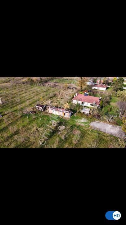 Sakarya Akyazıda Salihiye Köyünde Satılık Ev Meyve Ağaçlı Taşduvarlı 14 Dönüm Fındık Meyve Bahçesi - Görsel 3