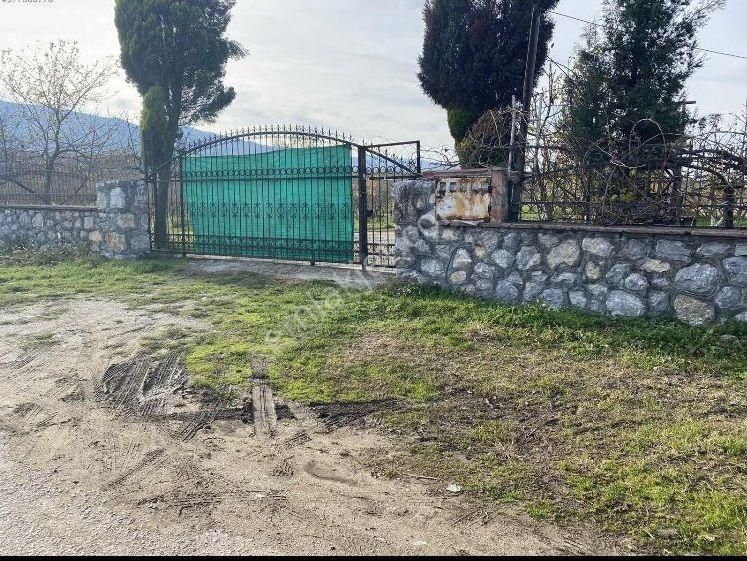 Sakarya Akyazıda Salihiye Köyünde Satılık Ev Meyve Ağaçlı Taşduvarlı 14 Dönüm Fındık Meyve Bahçesi - Görsel 8