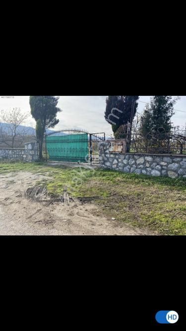 Sakarya Akyazıda Salihiye Köyünde Satılık Ev Meyve Ağaçlı Taşduvarlı 14 Dönüm Fındık Meyve Bahçesi - Görsel 10