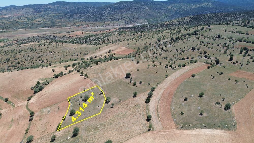 Konya / Akören / Belkuyu Mahallesinde 4.314 M² Müstakil Tapulu Tarla - Görsel 8