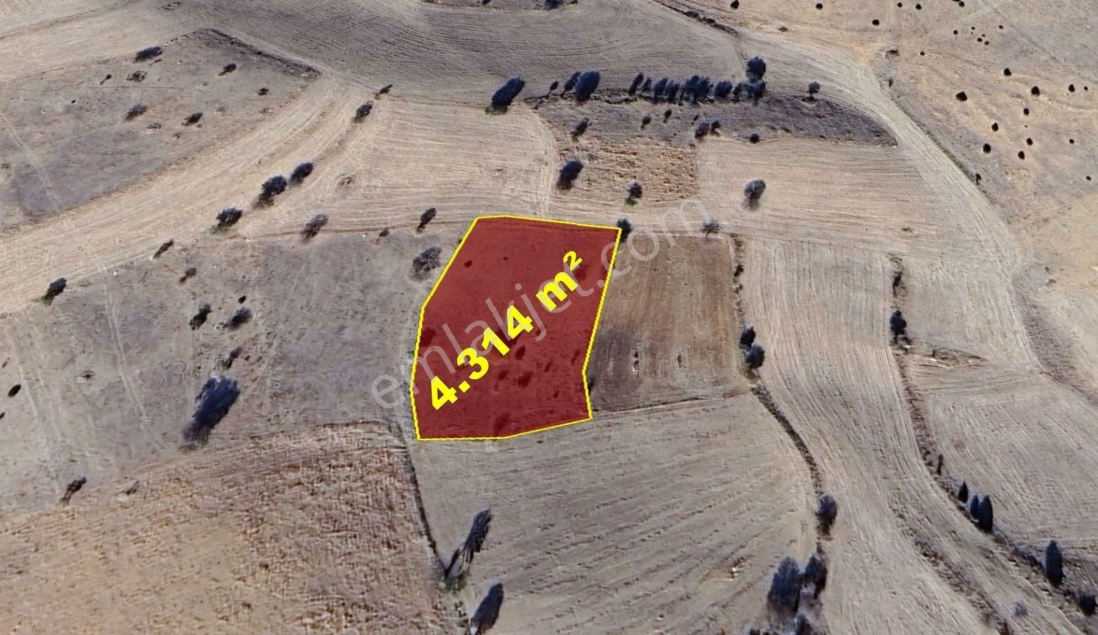 Konya / Akören / Belkuyu Mahallesinde 4.314 M² Müstakil Tapulu Tarla - Görsel 5