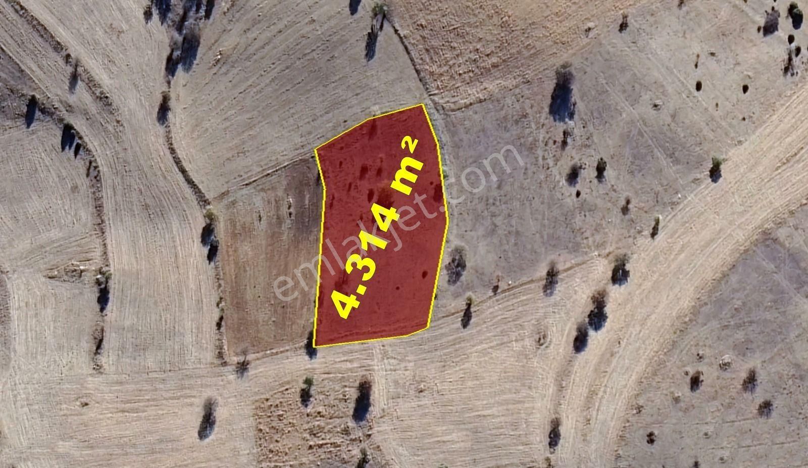 Konya / Akören / Belkuyu Mahallesinde 4.314 M² Müstakil Tapulu Tarla - Görsel 2