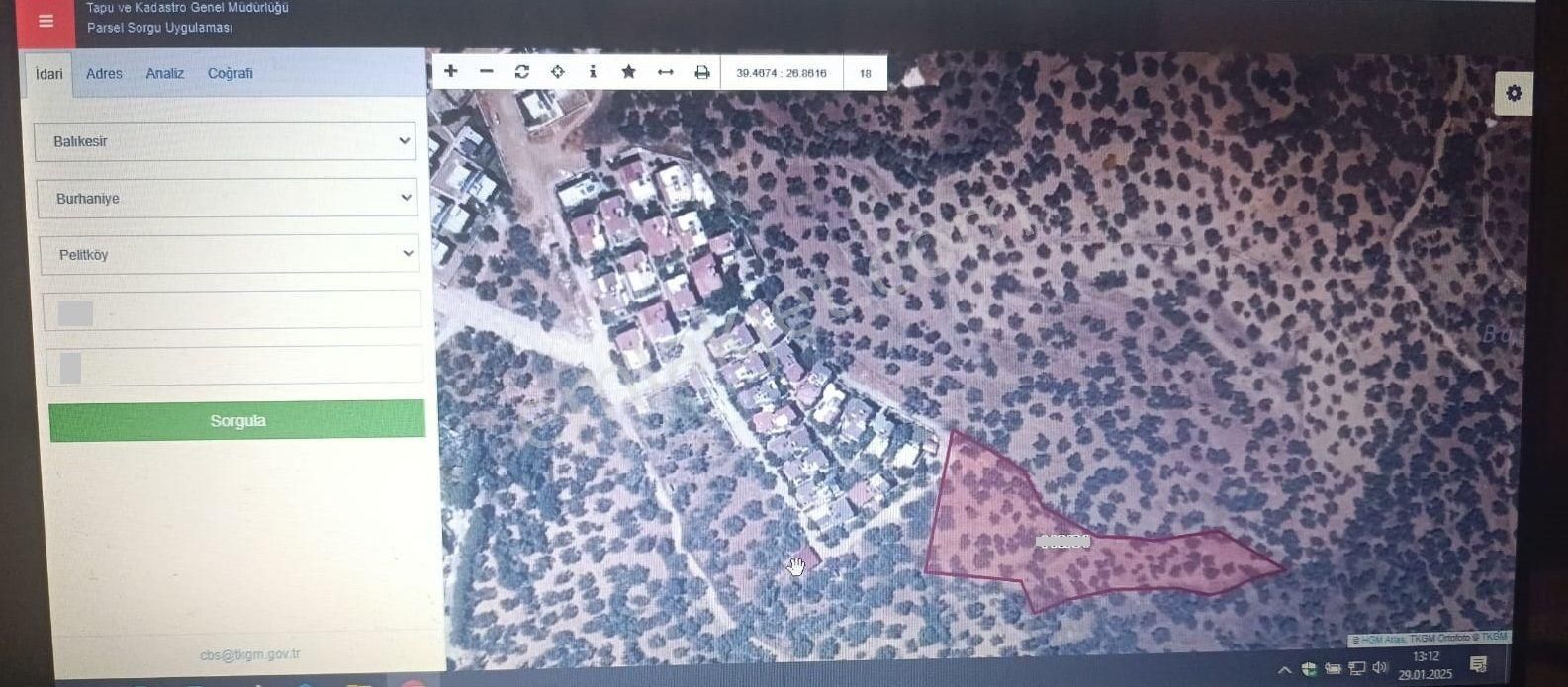 Balıkesir Burhaniye Pelitli "de İmar Sınırında Köy Kenarı Satılık 4.964m2 Zeytinlik - Görsel 4