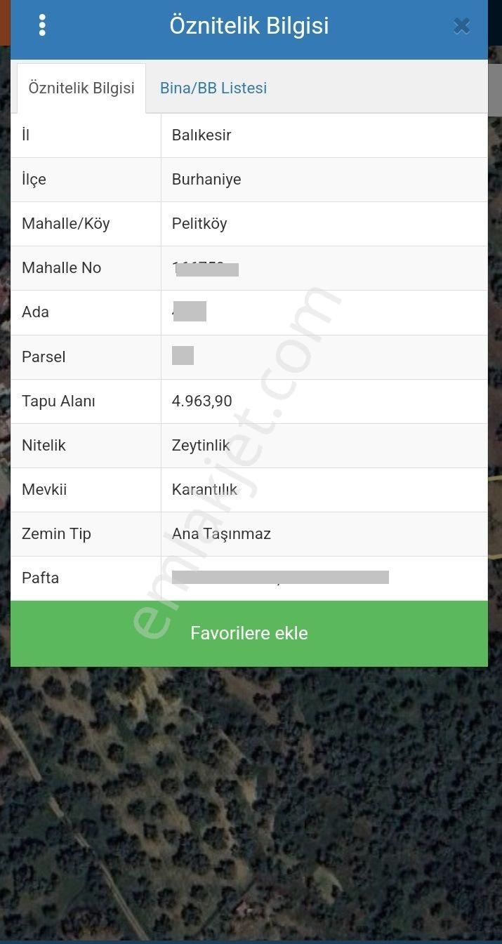 Balıkesir Burhaniye Pelitli "de İmar Sınırında Köy Kenarı Satılık 4.964m2 Zeytinlik - Görsel 2