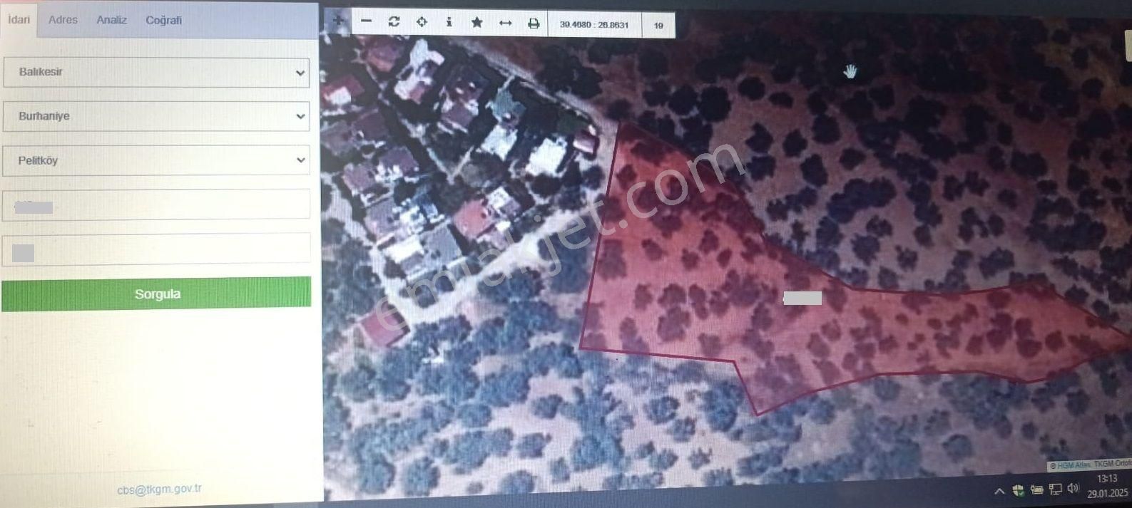 Balıkesir Burhaniye Pelitli "de İmar Sınırında Köy Kenarı Satılık 4.964m2 Zeytinlik - Görsel 5