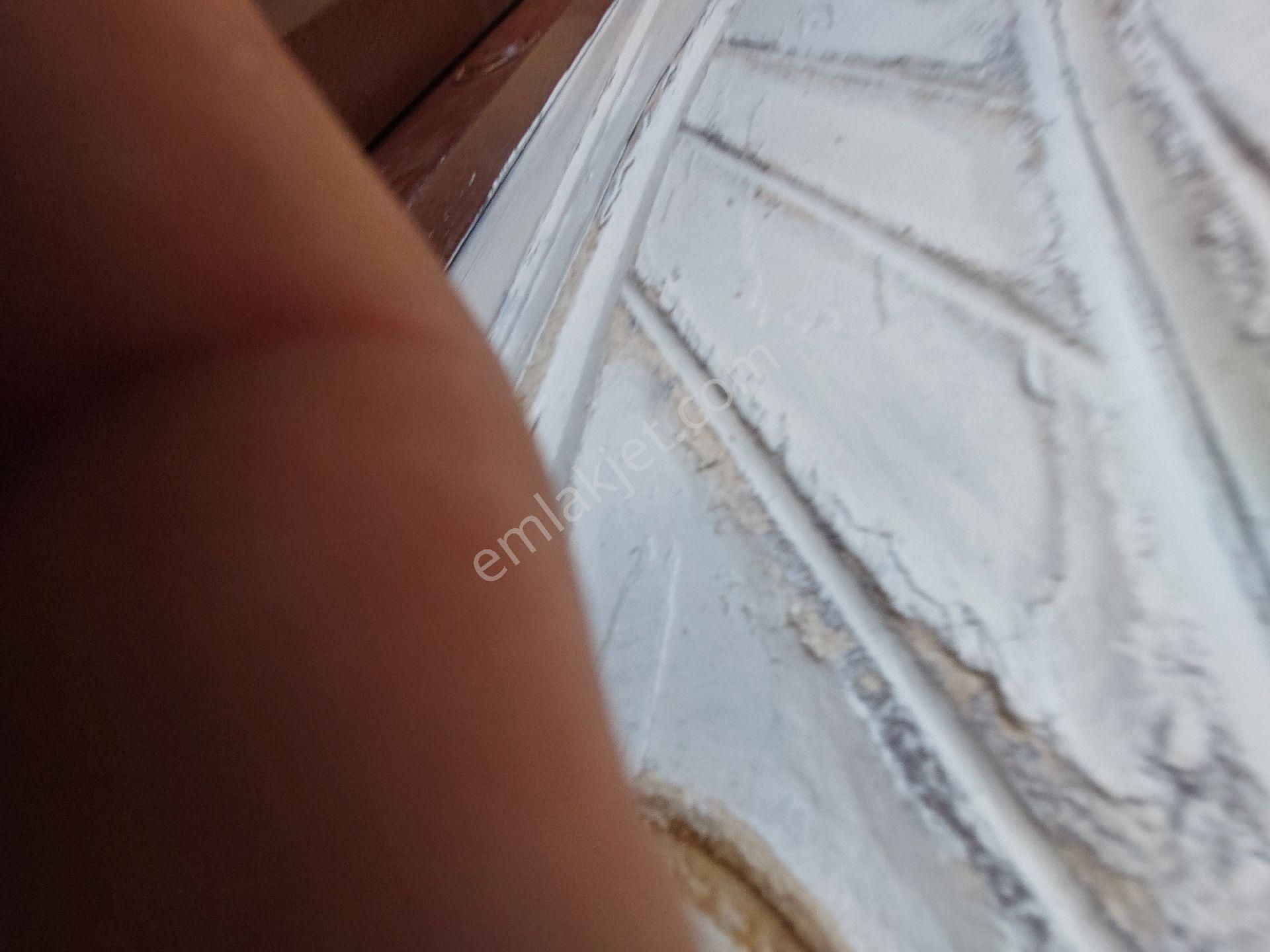 Bahçıvanlar Emlak'tan Acil Satılık 2 Katlı Müstakil - Görsel 21