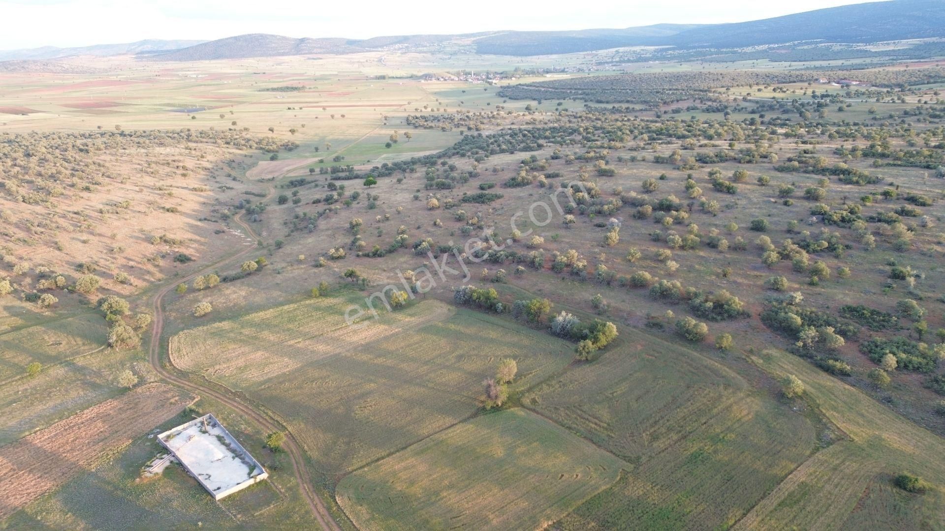 Konya / Akören / Hacılar Mahallesinde 2.365 M² Müstakil Tapulu Tarla - Görsel 9