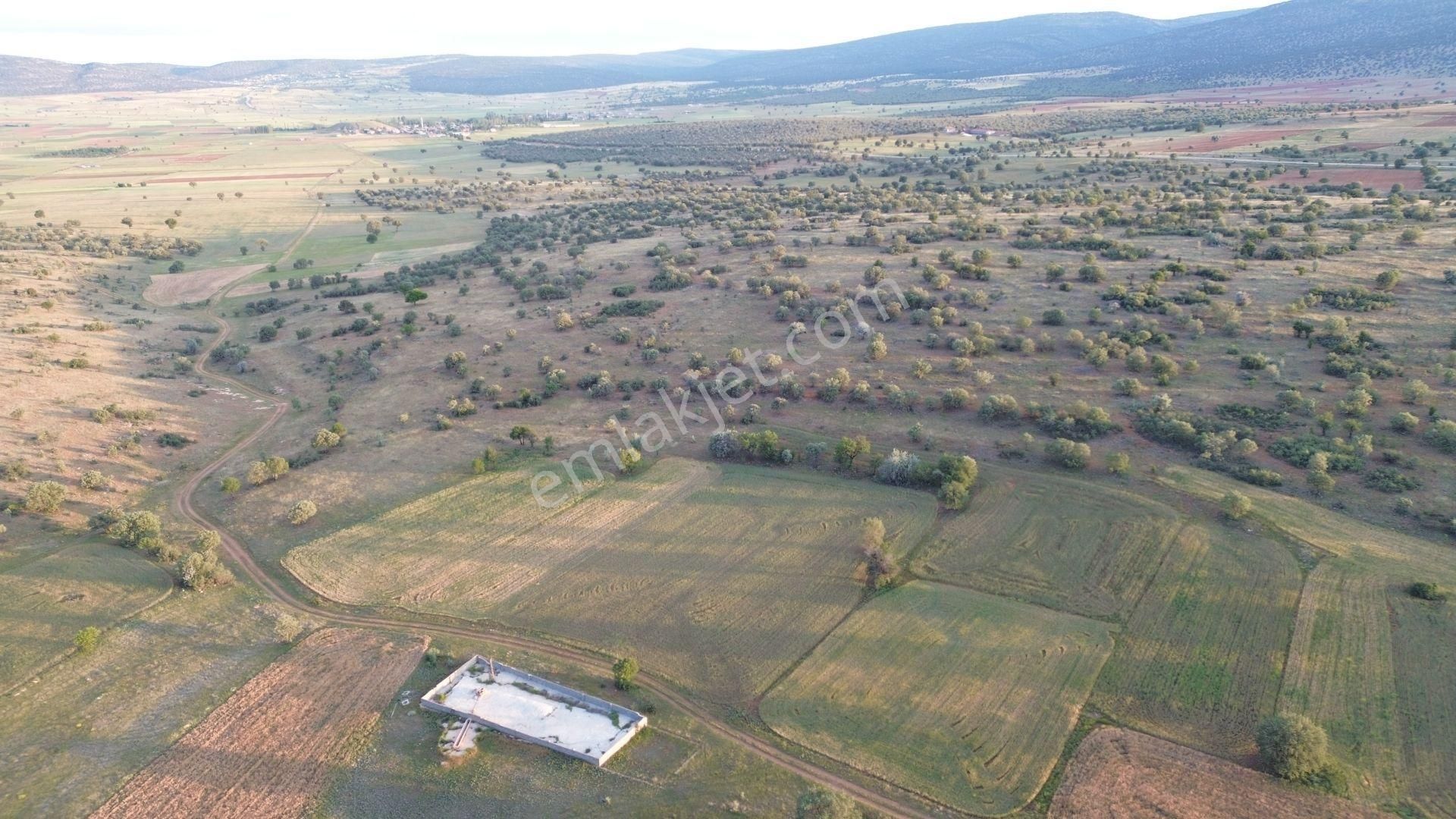 Konya / Akören / Hacılar Mahallesinde 2.365 M² Müstakil Tapulu Tarla - Görsel 8