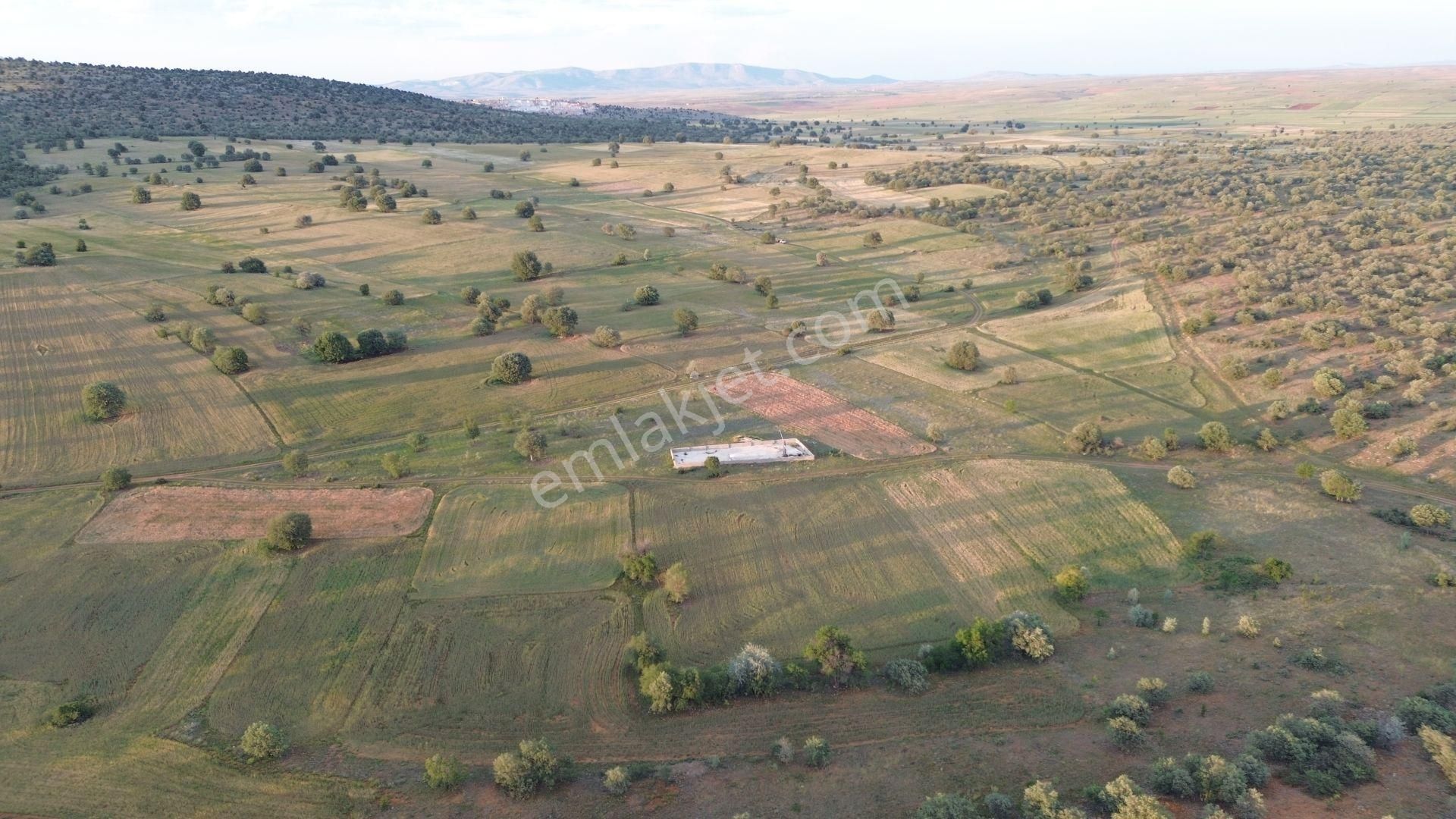 Konya / Akören / Hacılar Mahallesinde 2.365 M² Müstakil Tapulu Tarla - Görsel 4