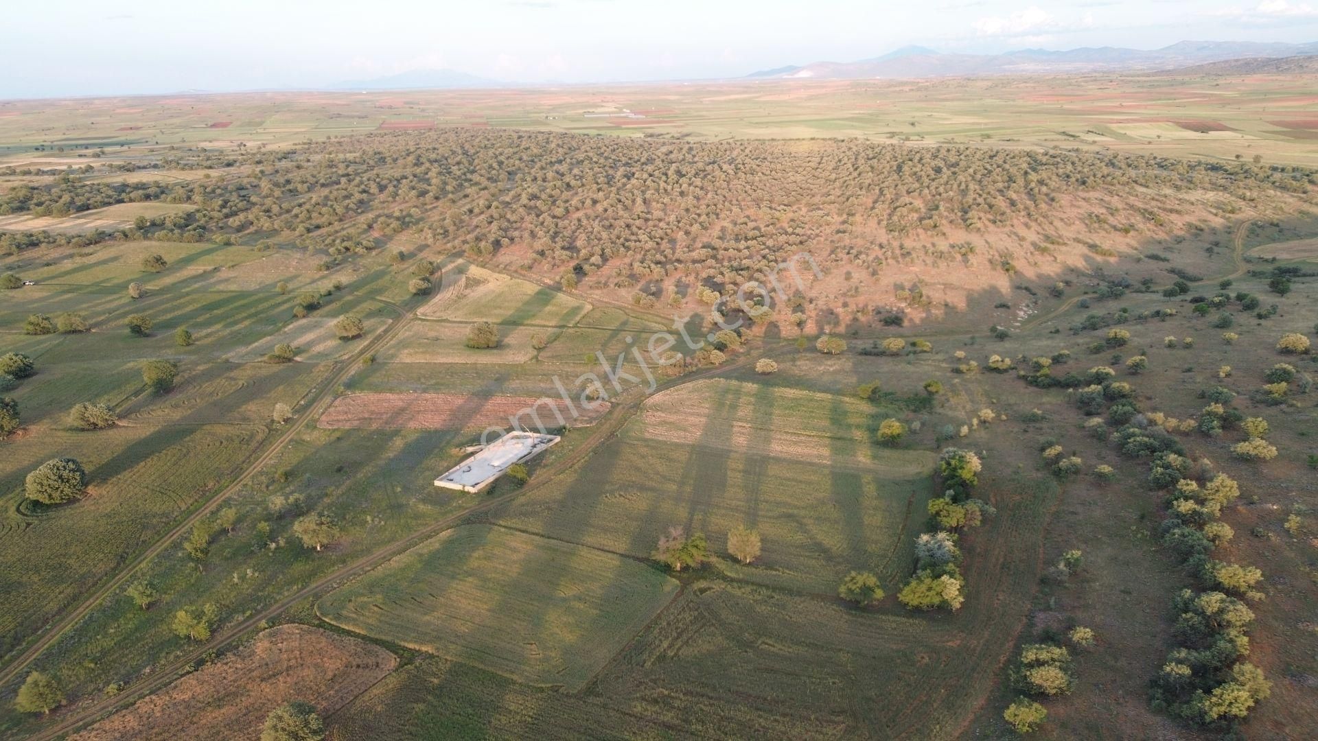 Konya / Akören / Hacılar Mahallesinde 2.365 M² Müstakil Tapulu Tarla - Görsel 5