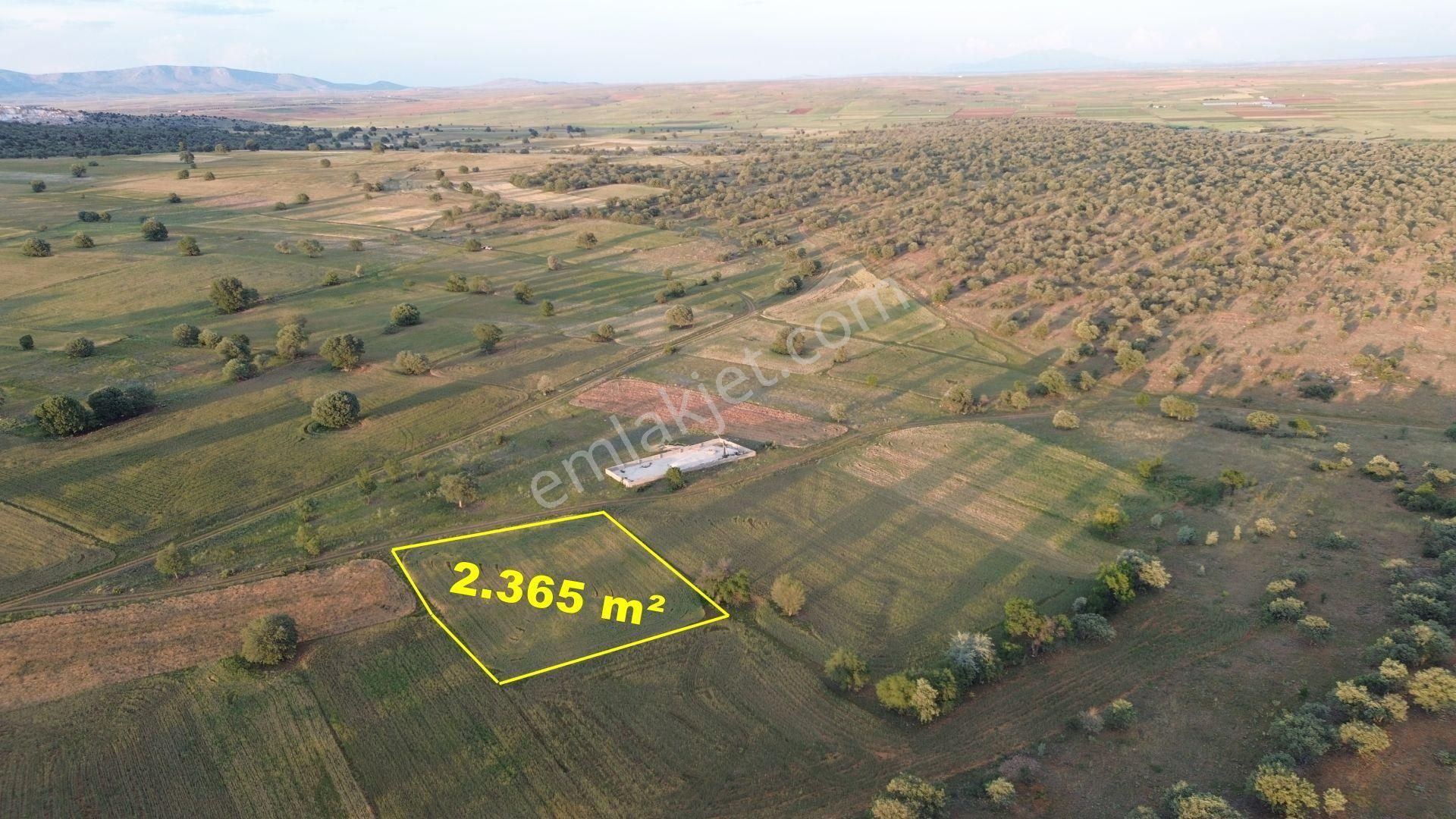 Konya / Akören / Hacılar Mahallesinde 2.365 M² Müstakil Tapulu Tarla - Görsel 2