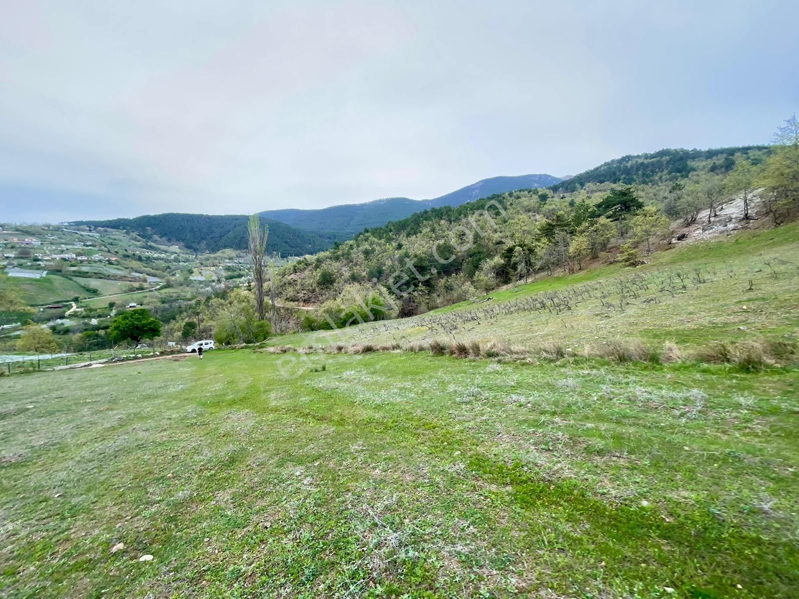 Bursa Orhangazi Bağlı"da Satılık 5.541m2 Süper Uygun Tarla - Görsel 14
