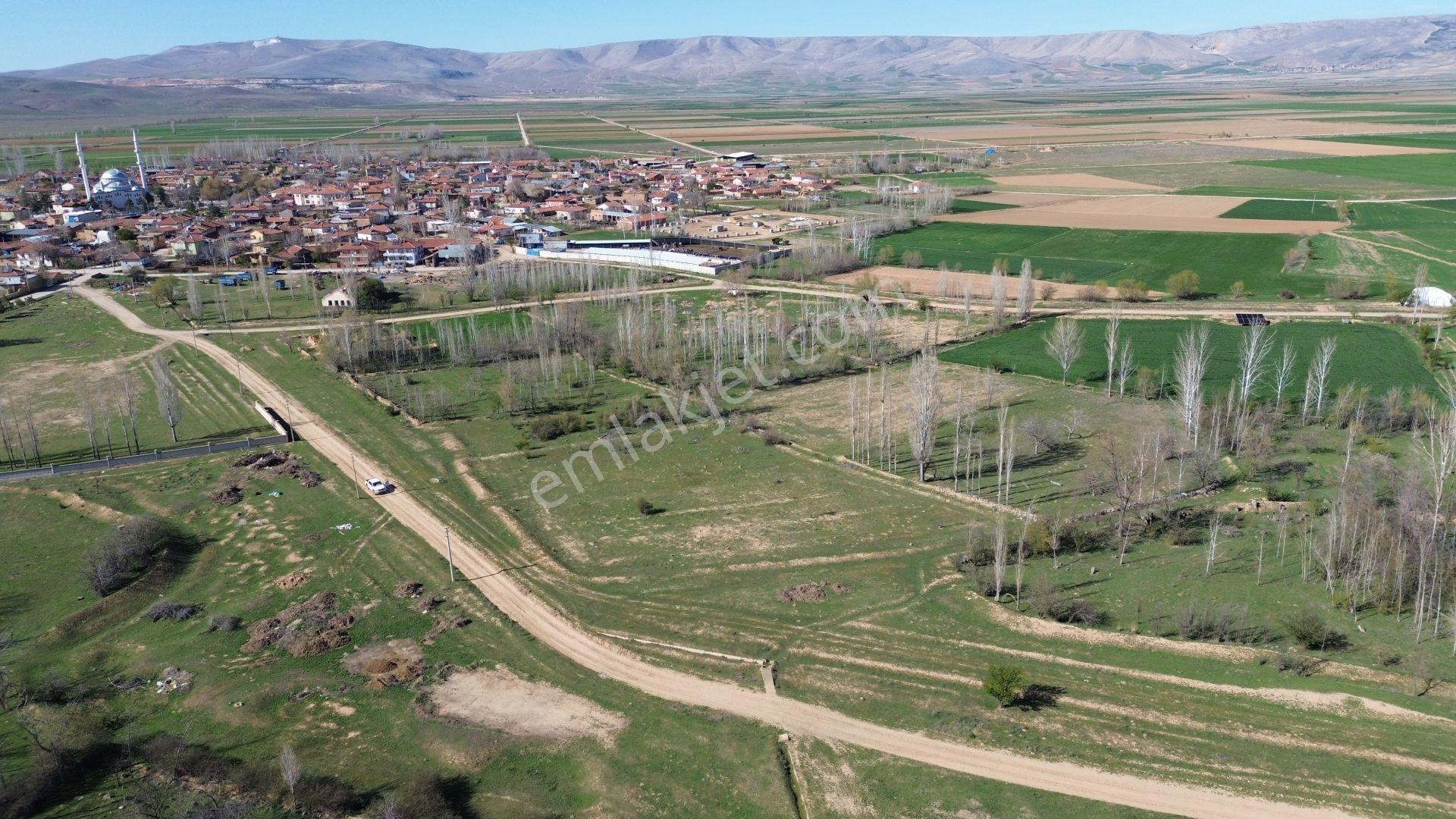 Konya / Ilgın / Çavuşcu Mahallesinde 311 M² Müstakil Tapulu Konut İmarlı Arsa - Görsel 2