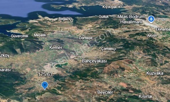 Bodrum Yeniköy (karaova)‘da Acil Satılık 4.668 M² Zeytinli Tarla - Görsel 8
