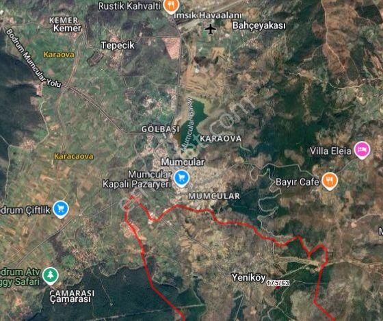 Bodrum Yeniköy (karaova)‘da Acil Satılık 4.668 M² Zeytinli Tarla