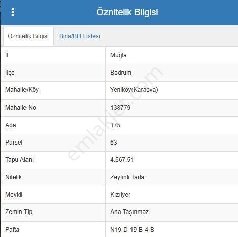 Bodrum Yeniköy (karaova)‘da Acil Satılık 4.668 M² Zeytinli Tarla - Görsel 5