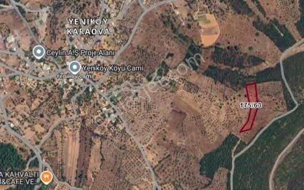 Bodrum Yeniköy (karaova)‘da Acil Satılık 4.668 M² Zeytinli Tarla - Görsel 2